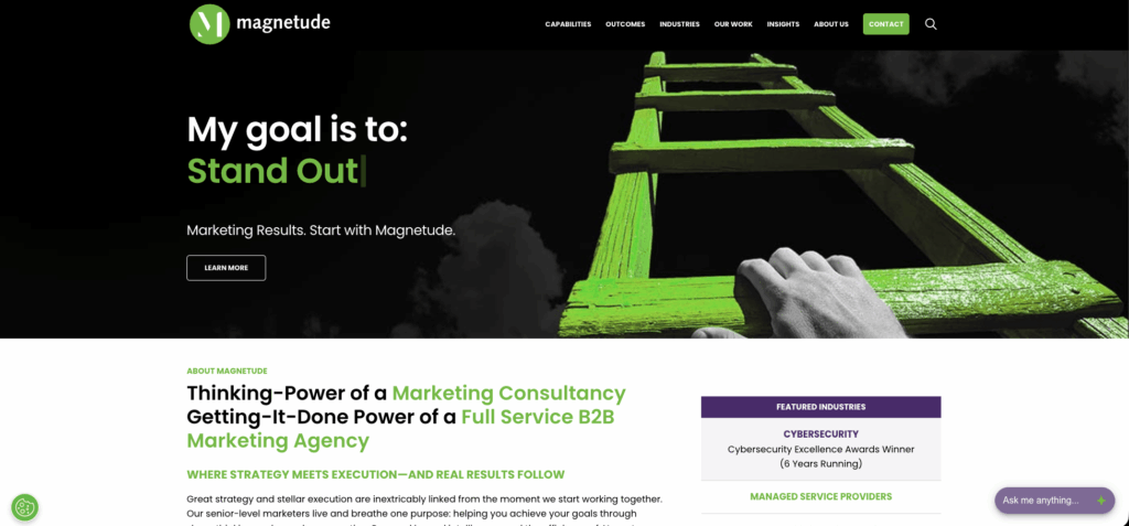 Magnetude Consulting Image